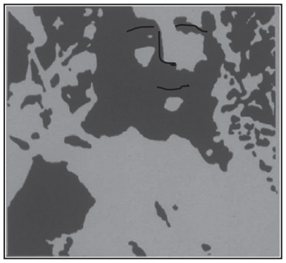 Иллюстрация к книге — Инкогнито. Тайная жизнь мозга [i_018.jpg]