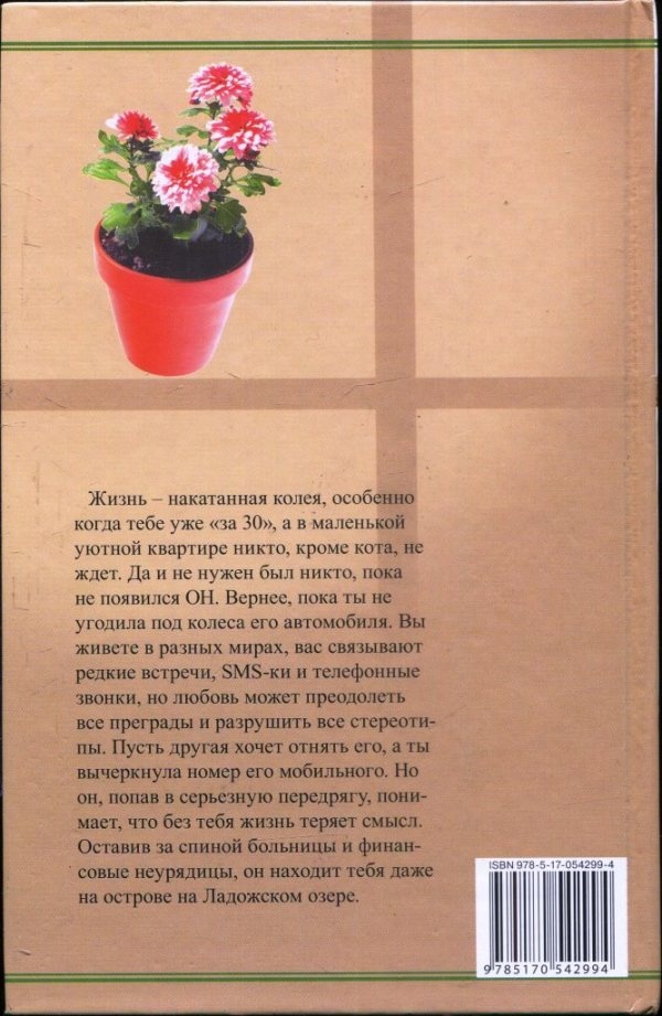 Иллюстрация к книге — Остров любящей женщины [i_002.jpg]