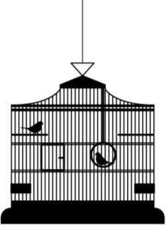 Иллюстрация к книге — Алый. С вопросами и ответами для почемучек [i_005.jpg]