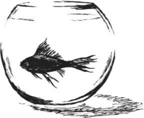 Иллюстрация к книге — Алый. С вопросами и ответами для почемучек [i_007.jpg]