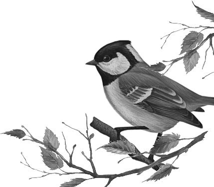 Иллюстрация к книге — Алый. С вопросами и ответами для почемучек [i_008.jpg]