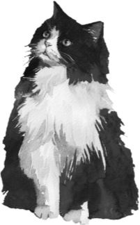 Иллюстрация к книге — Алый. С вопросами и ответами для почемучек [i_029.jpg]