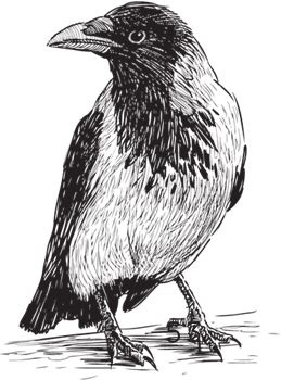 Иллюстрация к книге — Алый. С вопросами и ответами для почемучек [i_032.jpg]