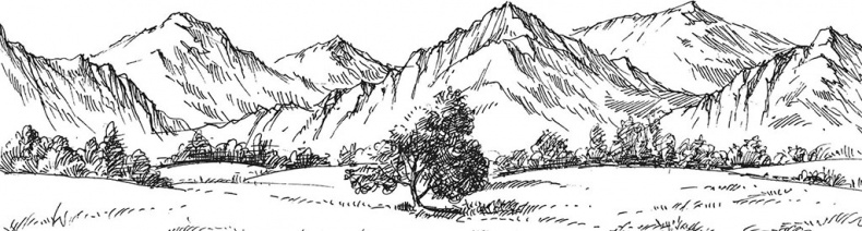 Иллюстрация к книге — Алый. С вопросами и ответами для почемучек [i_043.jpg]