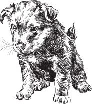 Иллюстрация к книге — Алый. С вопросами и ответами для почемучек [i_044.jpg]