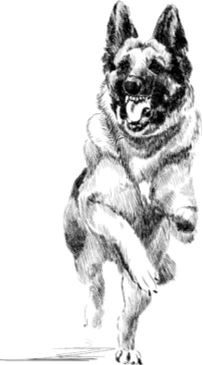 Иллюстрация к книге — Алый. С вопросами и ответами для почемучек [i_048.jpg]