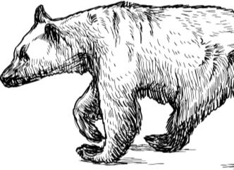 Иллюстрация к книге — Алый. С вопросами и ответами для почемучек [i_052.jpg]