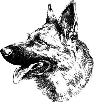 Иллюстрация к книге — Алый. С вопросами и ответами для почемучек [i_053.jpg]