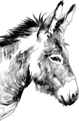 Иллюстрация к книге — Алый. С вопросами и ответами для почемучек [i_065.jpg]