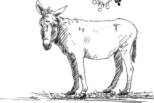 Иллюстрация к книге — Алый. С вопросами и ответами для почемучек [i_066.jpg]