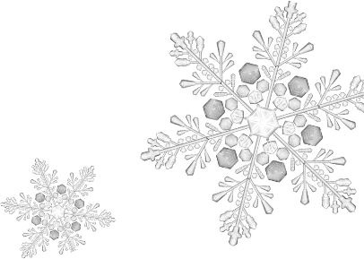 Иллюстрация к книге — Алый. С вопросами и ответами для почемучек [i_068.jpg]