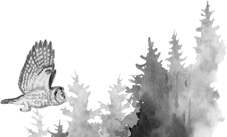 Иллюстрация к книге — Алый. С вопросами и ответами для почемучек [i_074.jpg]