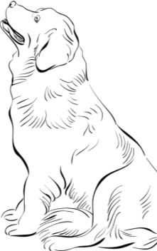 Иллюстрация к книге — Алый. С вопросами и ответами для почемучек [i_079.jpg]