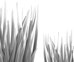 Иллюстрация к книге — Алый. С вопросами и ответами для почемучек [i_082.jpg]