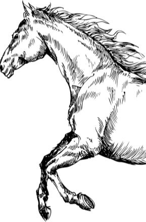 Иллюстрация к книге — Алый. С вопросами и ответами для почемучек [i_089.jpg]