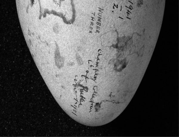 Иллюстрация к книге — Шестое вымирание [i_009.jpg]