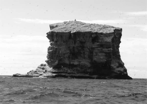 Иллюстрация к книге — Шестое вымирание [i_011.jpg]