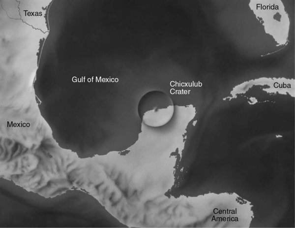 Иллюстрация к книге — Шестое вымирание [i_015.jpg]