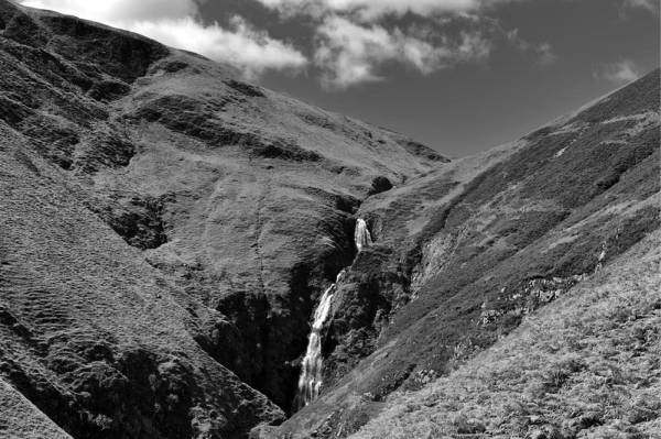 Иллюстрация к книге — Шестое вымирание [i_018.jpg]