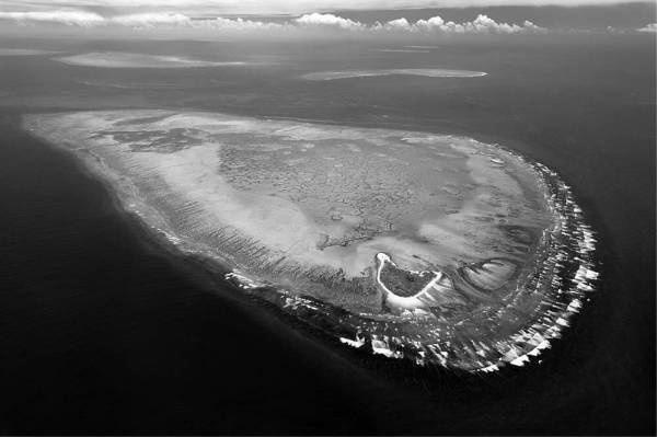 Иллюстрация к книге — Шестое вымирание [i_023.jpg]