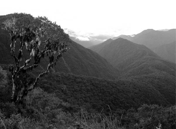 Иллюстрация к книге — Шестое вымирание [i_026.jpg]