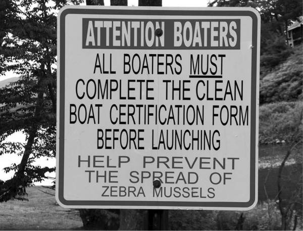 Иллюстрация к книге — Шестое вымирание [i_034.jpg]