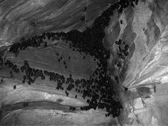 Иллюстрация к книге — Шестое вымирание [i_035.jpg]