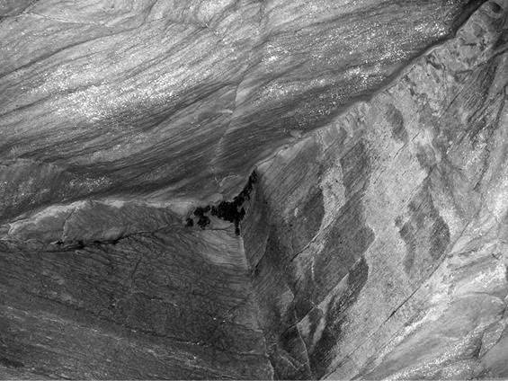 Иллюстрация к книге — Шестое вымирание [i_036.jpg]