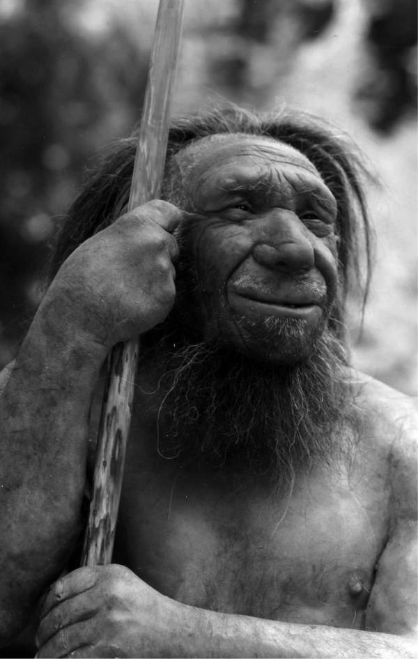 Иллюстрация к книге — Шестое вымирание [i_041.jpg]