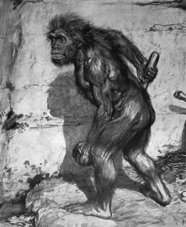 Иллюстрация к книге — Шестое вымирание [i_042.jpg]