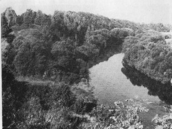 Иллюстрация к книге — Тютчев [pic_39.jpg]