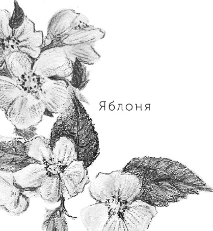 Иллюстрация к книге — Лесная сказка. С вопросами и ответами для почемучек [i_007.jpg]