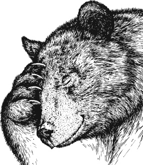 Иллюстрация к книге — Лесная сказка. С вопросами и ответами для почемучек [i_014.jpg]