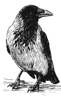 Иллюстрация к книге — Лесная сказка. С вопросами и ответами для почемучек [i_043.jpg]