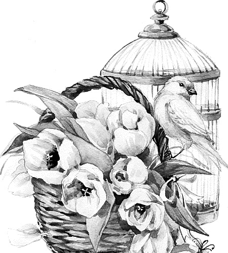 Иллюстрация к книге — Лесная сказка. С вопросами и ответами для почемучек [i_044.jpg]