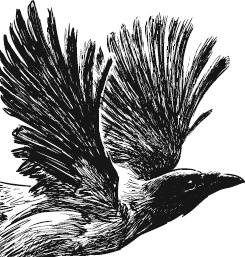 Иллюстрация к книге — Лесная сказка. С вопросами и ответами для почемучек [i_048.jpg]