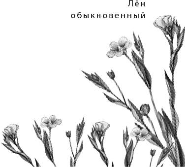 Иллюстрация к книге — Лесная сказка. С вопросами и ответами для почемучек [i_050.jpg]
