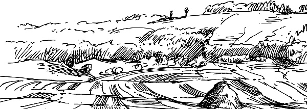 Иллюстрация к книге — Лесная сказка. С вопросами и ответами для почемучек [i_056.jpg]