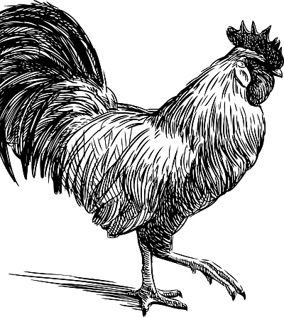 Иллюстрация к книге — Лесная сказка. С вопросами и ответами для почемучек [i_057.jpg]