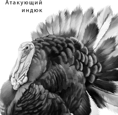 Иллюстрация к книге — Лесная сказка. С вопросами и ответами для почемучек [i_063.jpg]