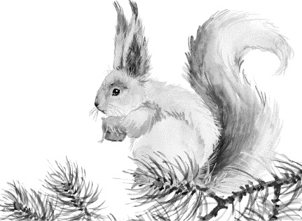 Иллюстрация к книге — Лесная сказка. С вопросами и ответами для почемучек [i_068.jpg]