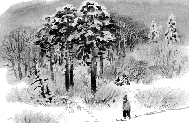 Иллюстрация к книге — Лесная сказка. С вопросами и ответами для почемучек [i_070.jpg]