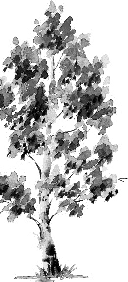 Иллюстрация к книге — Лесная сказка. С вопросами и ответами для почемучек [i_071.jpg]