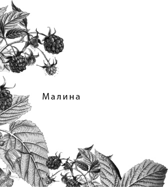 Иллюстрация к книге — Лесная сказка. С вопросами и ответами для почемучек [i_084.jpg]