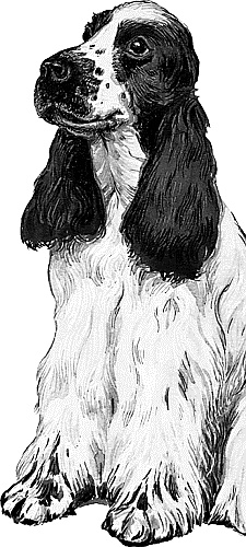 Иллюстрация к книге — Лесная сказка. С вопросами и ответами для почемучек [i_096.jpg]