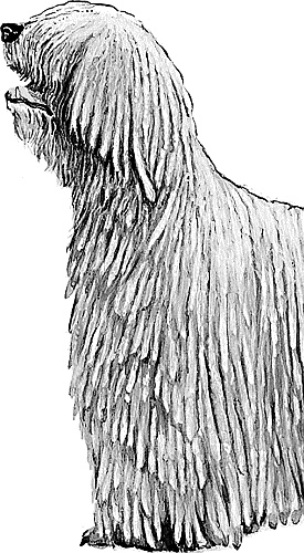 Иллюстрация к книге — Лесная сказка. С вопросами и ответами для почемучек [i_104.jpg]