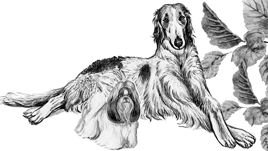 Иллюстрация к книге — Лесная сказка. С вопросами и ответами для почемучек [i_110.jpg]