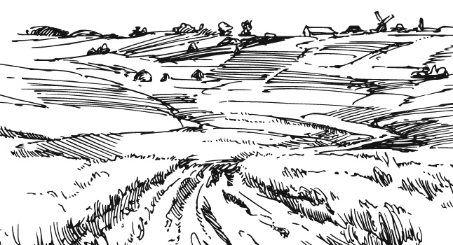 Иллюстрация к книге — Лесная сказка. С вопросами и ответами для почемучек [i_115.jpg]