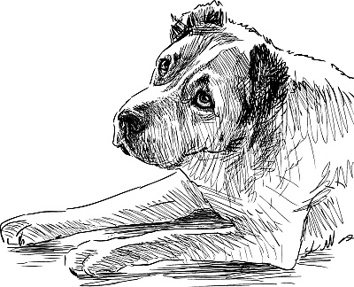 Иллюстрация к книге — Лесная сказка. С вопросами и ответами для почемучек [i_119.jpg]