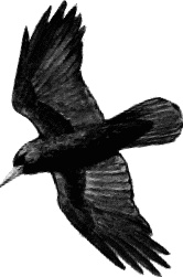 Иллюстрация к книге — Лесная сказка. С вопросами и ответами для почемучек [i_124.jpg]